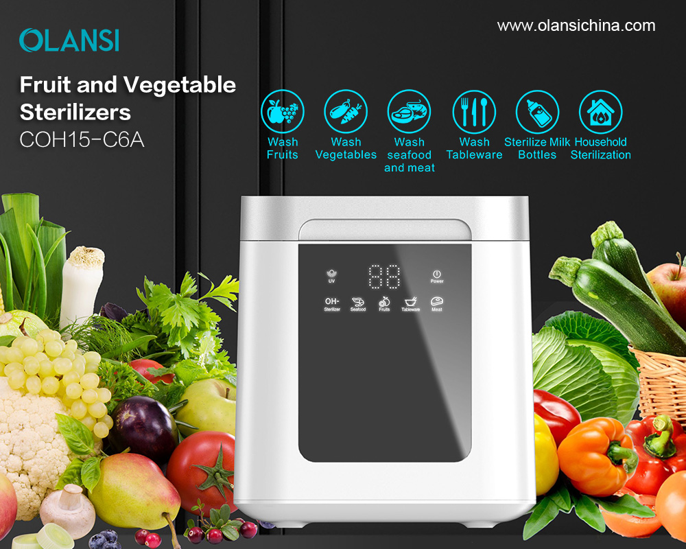 Bästa ultraljudsozonfrukt- och grönsakstvättmaskin och grönsaksfruktsterilisator Renare tvättmaskin för hemmet i USA och Kanada