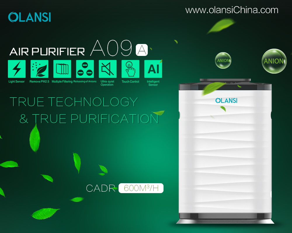Kina Olansi Air Purifier Tillverkare (65)