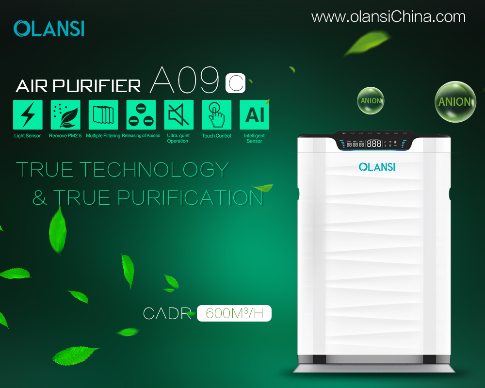 Kina Olansi Air Purifier Tillverkare (71)