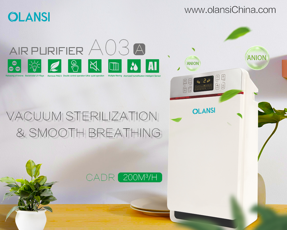Kina Olansi Air Purifier Tillverkare (28)