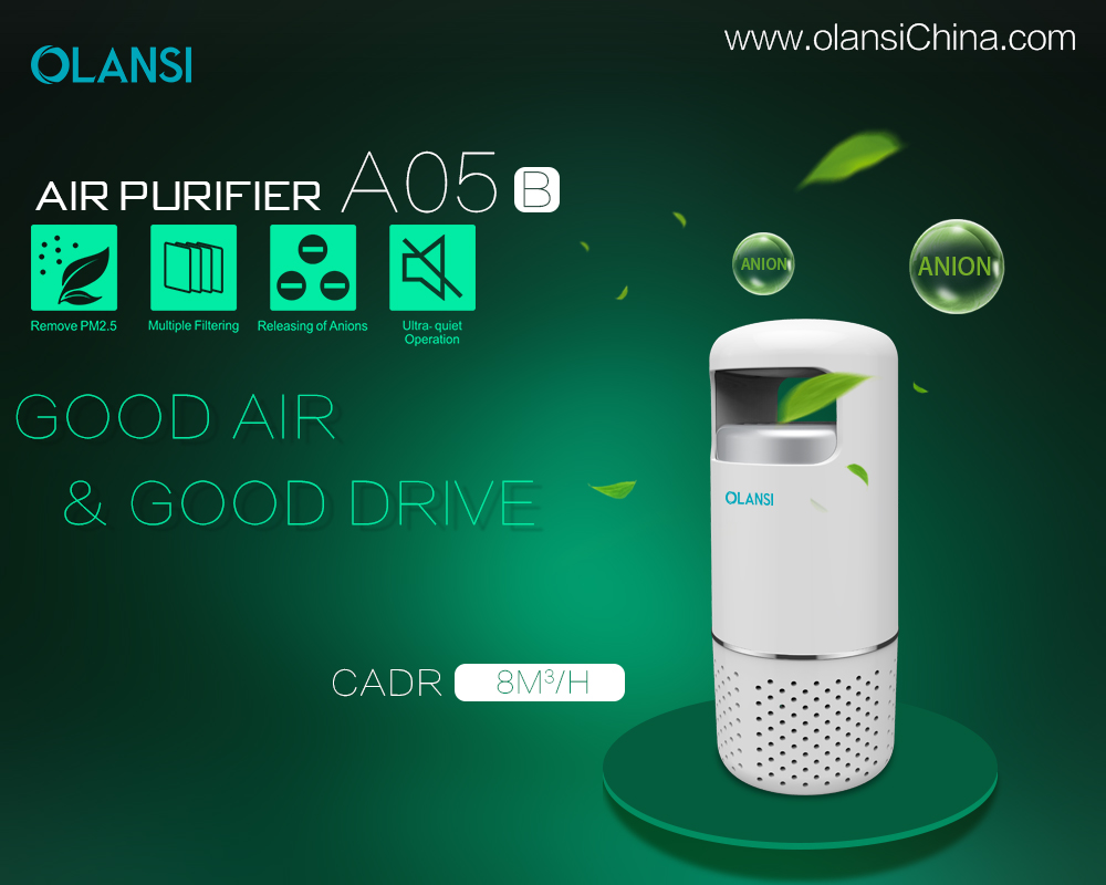 Kina Olansi Air Purifier Tillverkare (44)