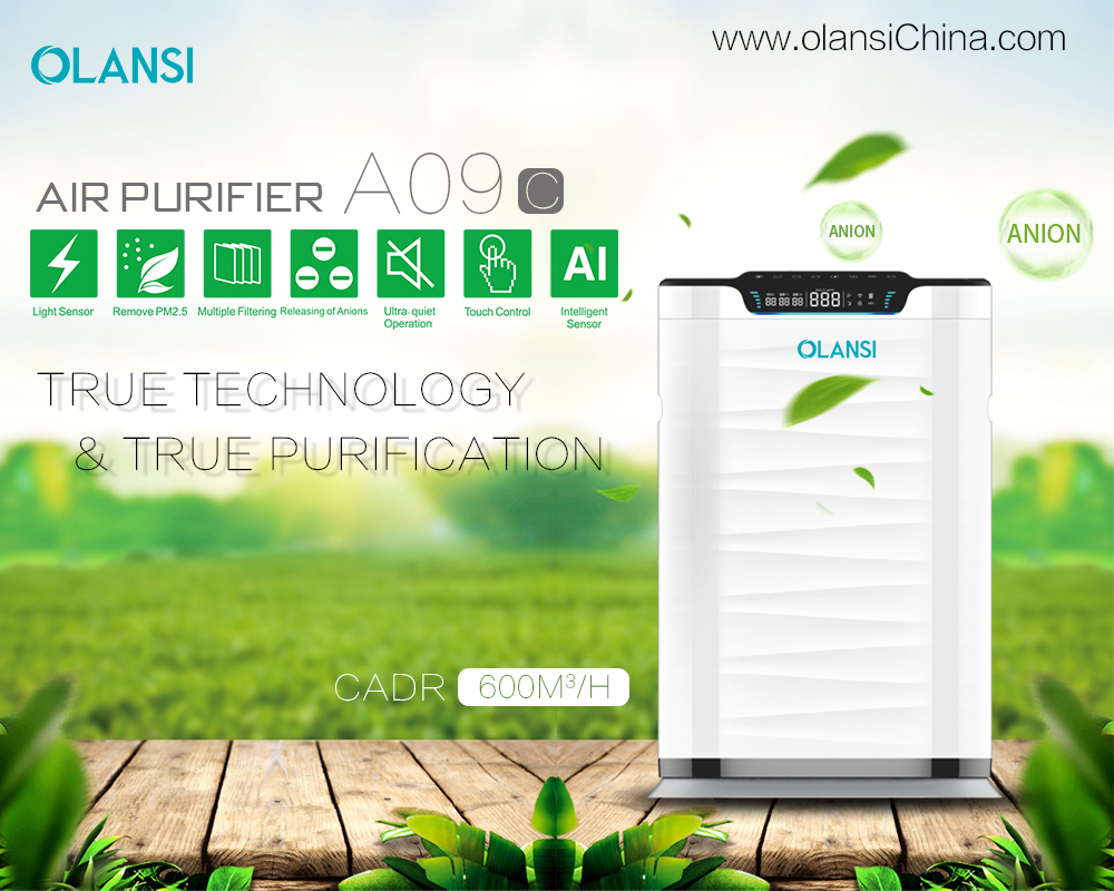 Kina Olansi Air Purifier Tillverkare (70)