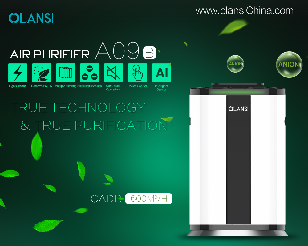 Kina Olansi Air Purifier Tillverkare (68)