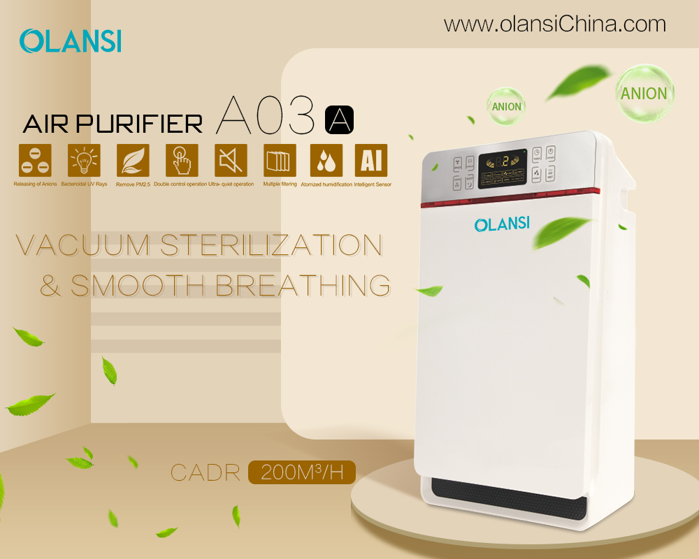 Kina Olansi Air Purifier Tillverkare (30)