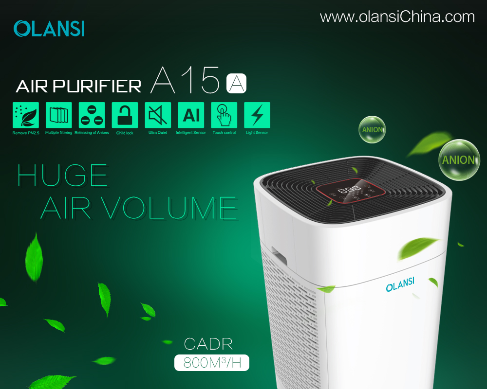 Kina Olansi Air Purifier Tillverkare (74)