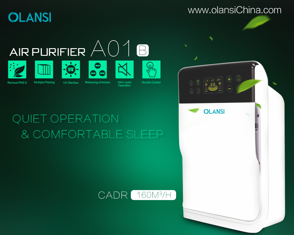 Kina Olansi Air Purifier Tillverkare (14)