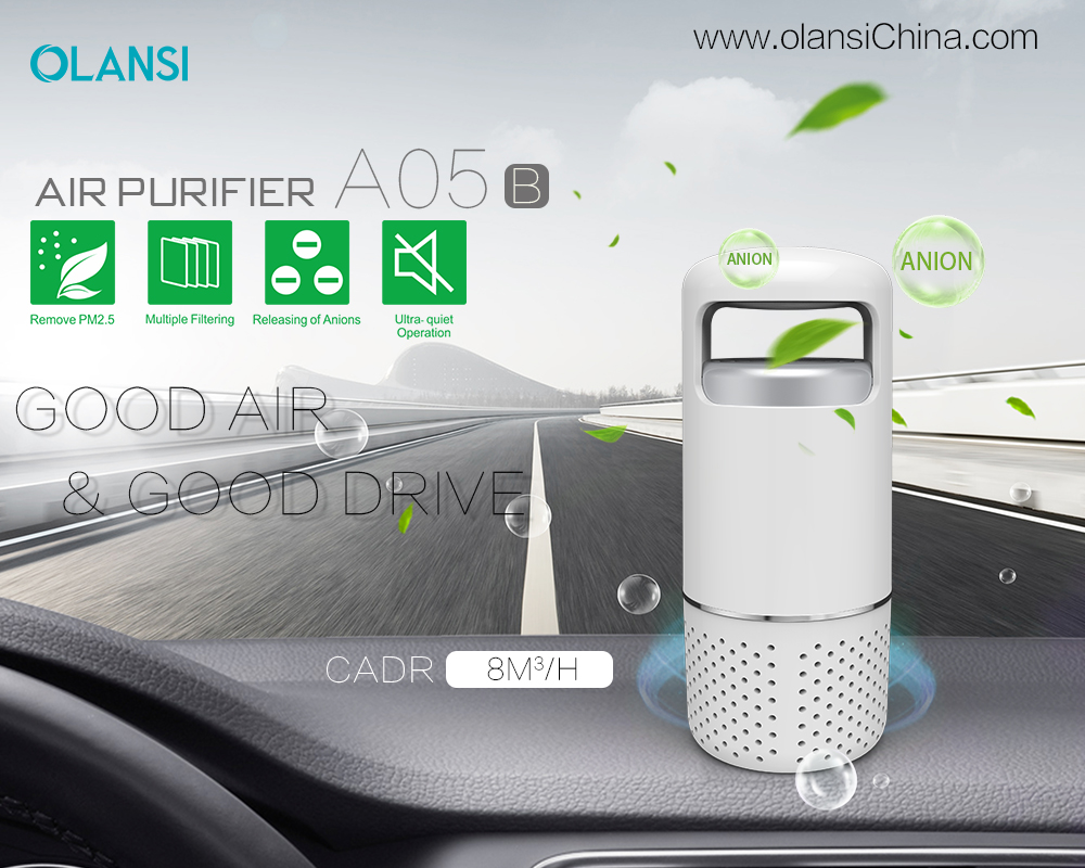 Kina Olansi Air Purifier Tillverkare (43)